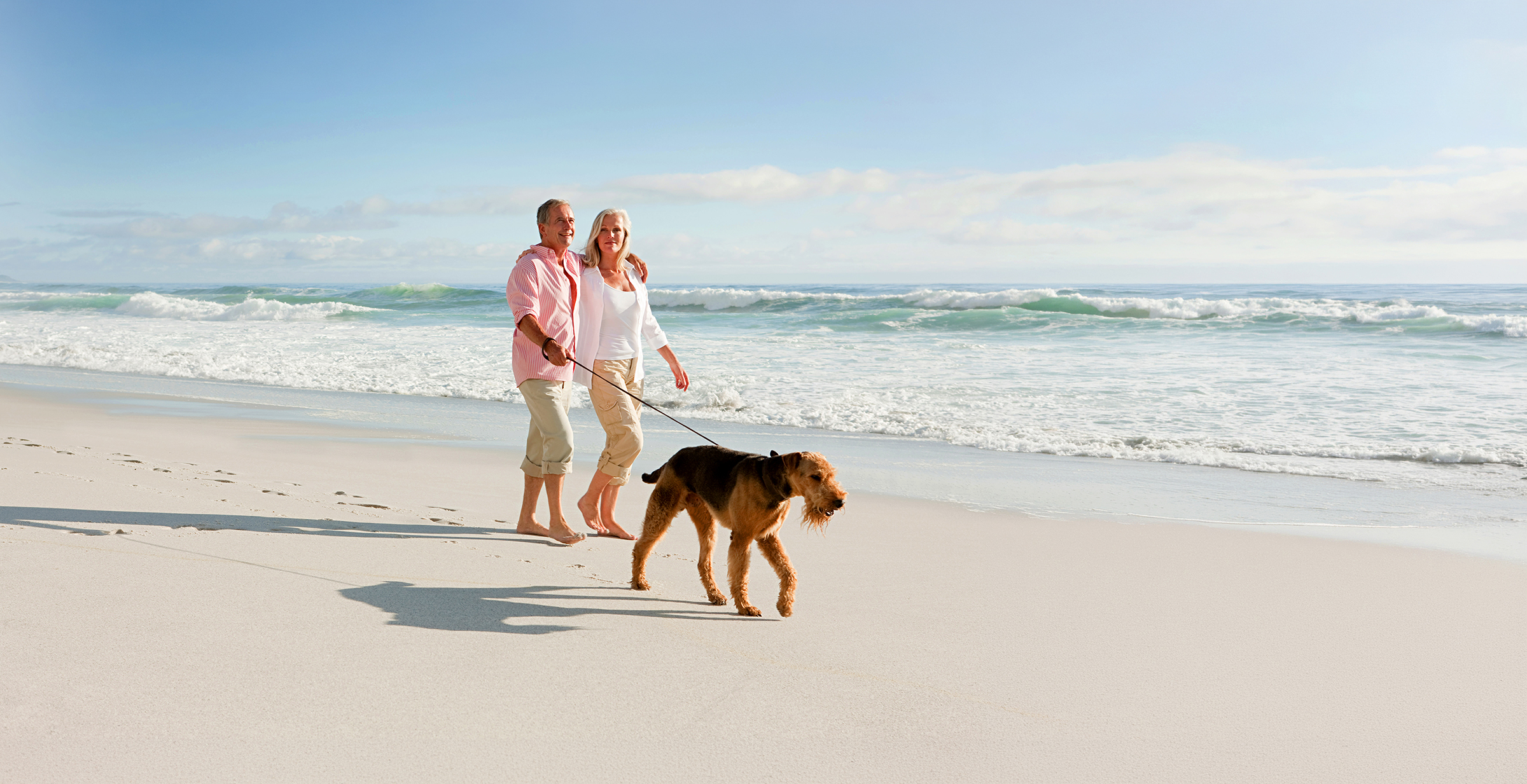 Pet-Friendly Vacation Rentals in the USA: How to Book One Without Getting Burned by Fees 2 Pet-Friendly Rentals - Sanibel Island Vacation Rentals